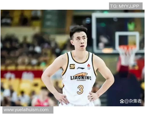 赵继伟：从青涩球员到国家队核心的成长之路与辉煌成就