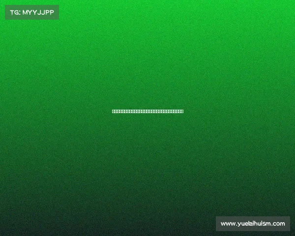 中国国家足球队征战世界杯赛场拼搏奋进追逐荣耀谱写辉煌新篇章